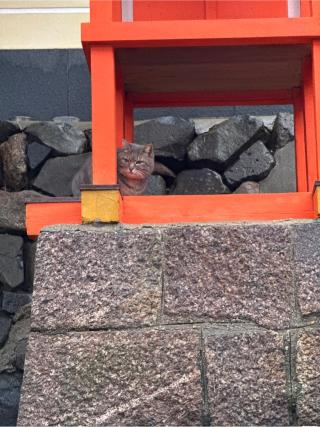 手力雄神社の参拝記録(skさん)