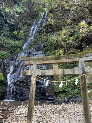 速開都比売神社の参拝記録(ほちさん)