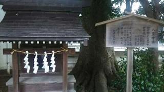 五ノ神社の参拝記録(miyumikoさん)