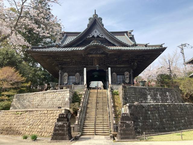 芝山仁王尊 観音教寺の参拝記録9