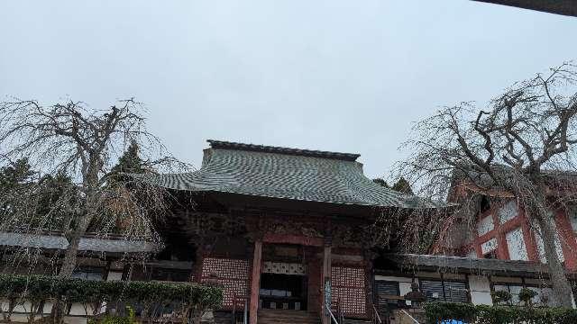 芝山仁王尊 観音教寺の参拝記録3