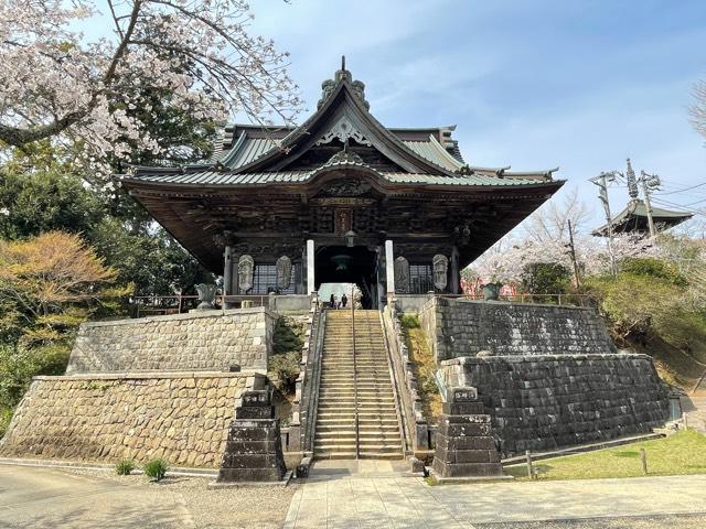 芝山仁王尊 観音教寺の参拝記録10