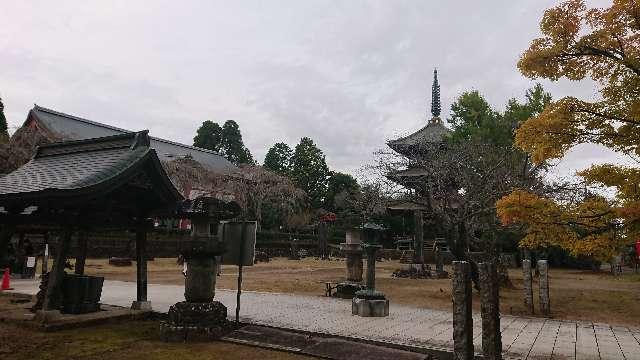 千葉県山武郡芝山町芝山298 芝山仁王尊 観音教寺の写真4