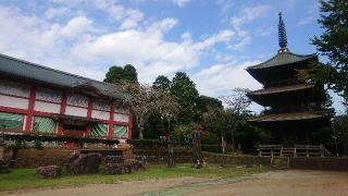 芝山仁王尊 観音教寺の参拝記録(おがおが1262さん)
