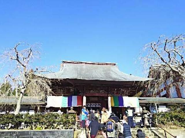千葉県山武郡芝山町芝山298 芝山仁王尊 観音教寺の写真1
