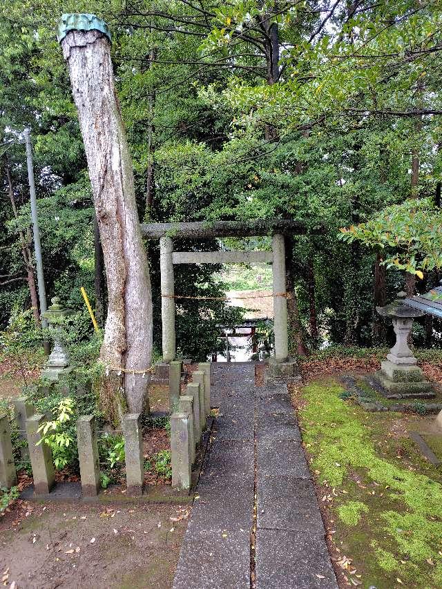 伊古乃速御玉比賣神社の参拝記録1