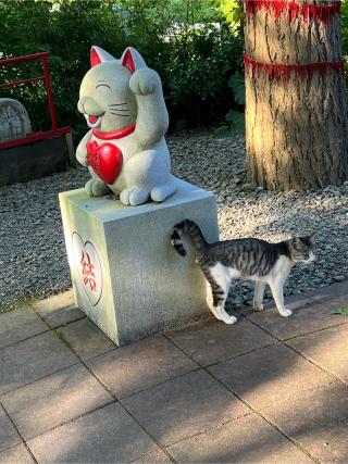 鹿角八坂神社の参拝記録(わかなさん)