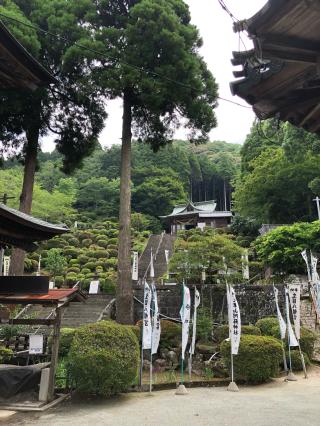 大津山阿蘇神社の参拝記録(ふるかわさん)