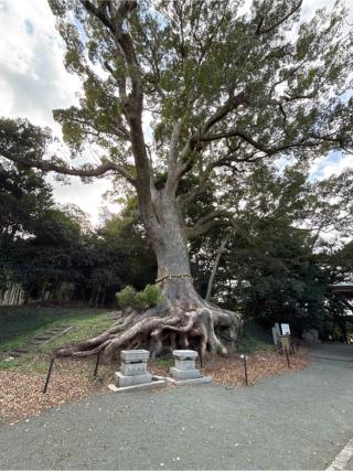 光岡八幡宮の参拝記録(nobさん)