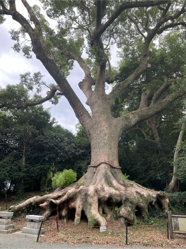 光岡八幡宮の参拝記録6