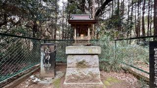 夜刀神社の参拝記録(金猿さん)
