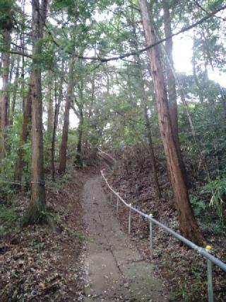 夜刀神社の参拝記録(桃さん)