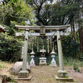 夜刀神社の参拝記録(のぶさん)