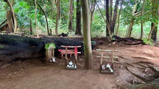 女化神社 奥の院の参拝記録(金猿さん)