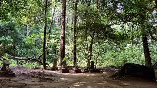 女化神社 奥の院の参拝記録(金猿さん)