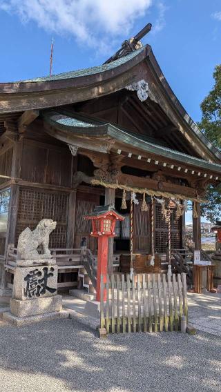 波折神社の参拝記録(こまいぬおさん)