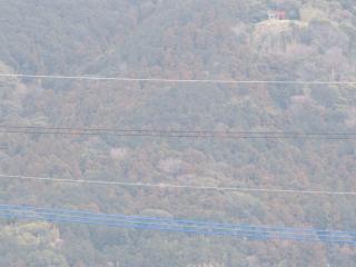 波折神社の参拝記録(Takeru Yamatoさん)