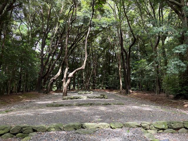 宗像大社 高宮祭場の参拝記録7