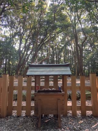 宗像大社 高宮祭場の参拝記録(もりもりさん)
