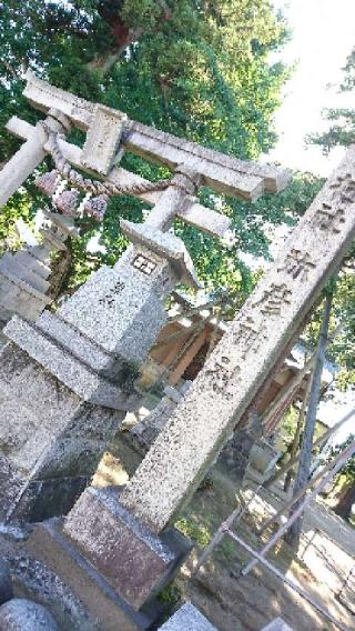 弥彦神社の参拝記録(レッドサンダーさん)