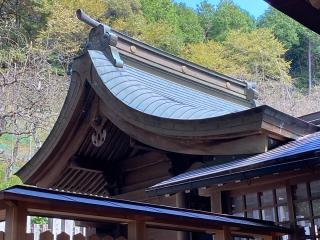 大国恵比須神社（大縣神社）の参拝記録(wednesdayさん)