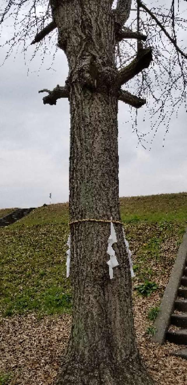 広島県広島市安佐南区東野3丁目19 堤平神社の写真5