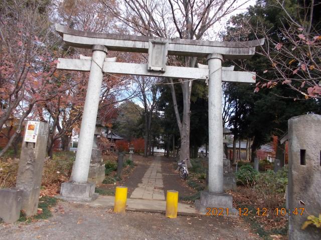 埼玉県さいたま市西区指扇2810 指扇氷川神社の写真2