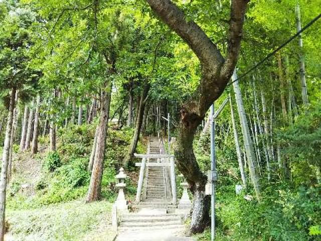 奈良県橿原市光陽町 八王子神社(忌部山)の写真2