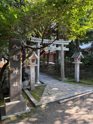 厳島社・八龍神社（真清田神社末社）の参拝記録(⛩️🎠🐢まめ🐢🎠⛩️さん)