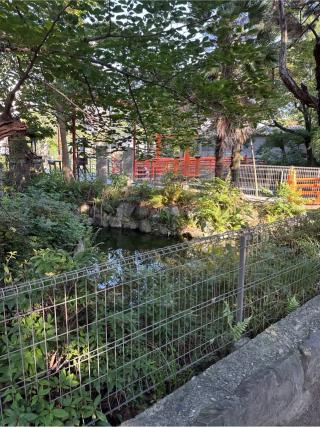 厳島社・八龍神社（真清田神社末社）の参拝記録(⛩️🎠🐢まめ🐢🎠⛩️さん)