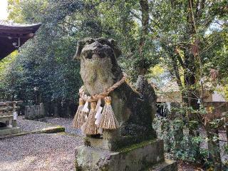 新開大神宮の参拝記録(飛成さん)