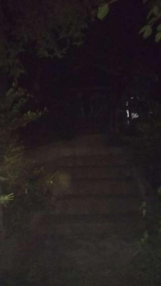 愛宕神社の参拝記録(くろさん)