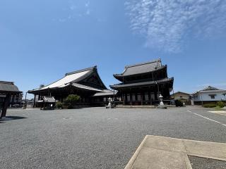 興正寺　阿弥陀堂の参拝記録(いけさん)
