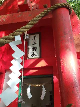 川上神社の参拝記録(風祭すぅさん)