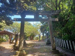 住吉神社の参拝記録(銀玉鉄砲さん)