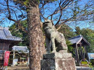 住吉神社の参拝記録(飛成さん)