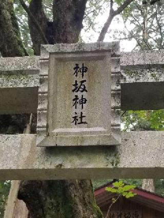神坂神社の参拝記録(銀玉鉄砲さん)
