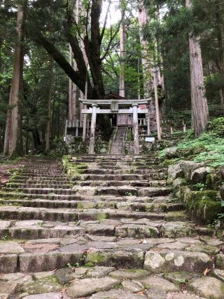 神坂神社の参拝記録(ひでひでさん)