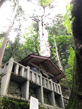 神坂神社の参拝記録(ひでひでさん)