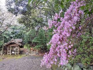 上末八幡社の参拝記録(masayaさん)