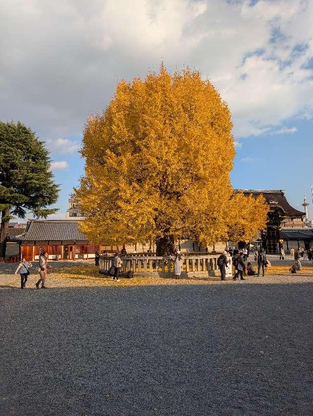 本願寺 阿弥陀堂の参拝記録4