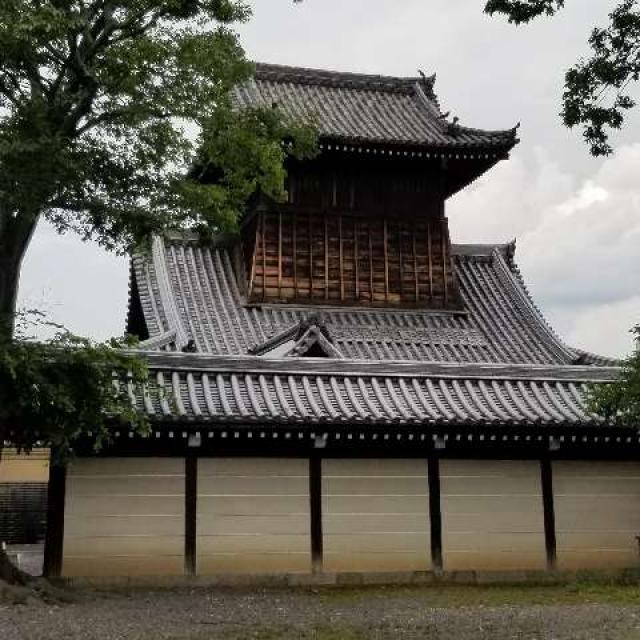 京都府京都市下京区堀川通花屋町下る本願寺門前町 本願寺 太鼓楼の写真2