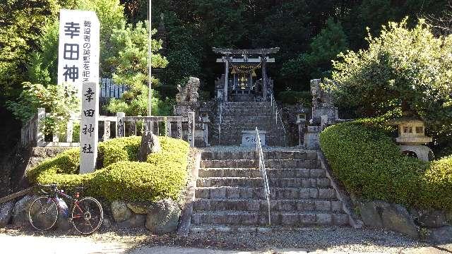 愛知県額田郡幸田町大草太根 幸田神社の写真2