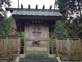 中正神社の参拝記録(銀玉鉄砲さん)