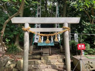 千歳神社(八百富神社)の参拝記録(恭子さん)