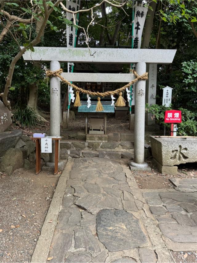 千歳神社(八百富神社)の参拝記録7