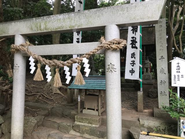 愛知県蒲郡市竹島町3-15 千歳神社(八百富神社)の写真1