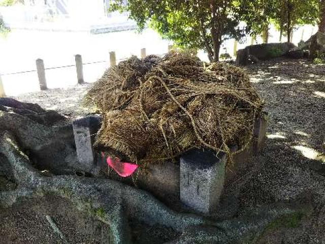 奈良県御所市蛇穴540 野口神社の写真2