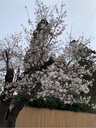 東大寺 指図堂の参拝記録(はまちゃんさん)