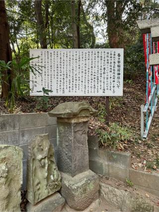 春日部稲荷神社の参拝記録(こーちんさん)